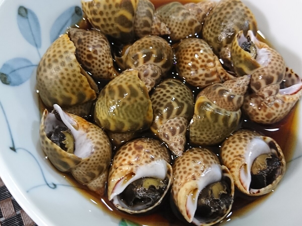 簡単 美味しい お酒のおともに バイ貝の煮付け レシピ 作り方 By まんまるcom 楽天レシピ 簡単 美味しい お酒のおともに バイ貝の煮付け レシピ 作り方 By まんまるcom 楽天レシピ